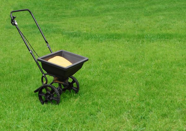 Scottsdale Lawn Treatment