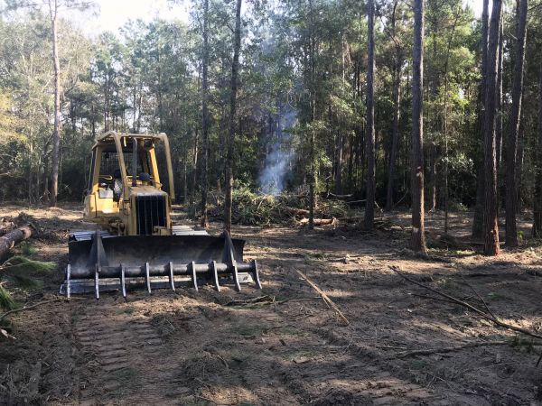 Scottsdale Land Clearing